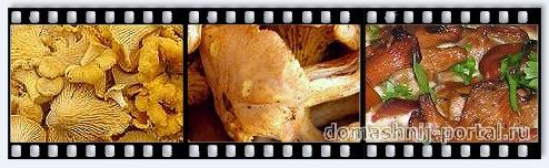 pirog-lica.jpg