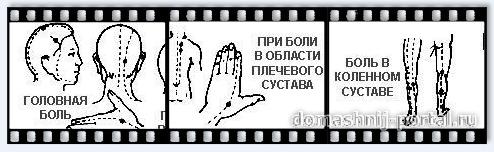 zdorovies7.jpg