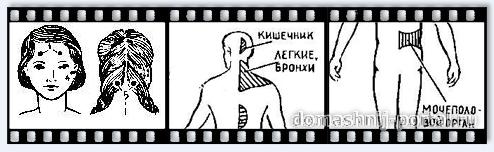 zdorovies8.jpg