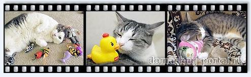 Как сделать игрушку для кота