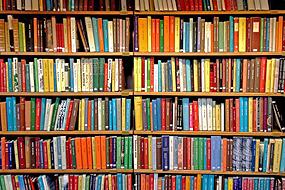 Книга или Интернет
