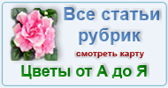 Карта  рубрик: Цветы от А до Я