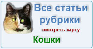 Карта  рубрики: Кошки