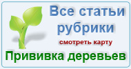 Карта  рубрик: Прививка деревьев