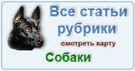 Карта  рубрики: Собаки
