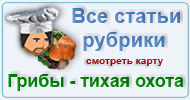 Карта  рубрики: Грибы - тихая охота