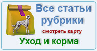 Карта  рубрики: Уход и корма