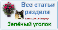 Карта раздела: Зелёный уголок
