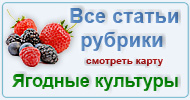 Карта  рубрик: О землянике