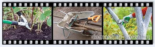 Осенние работы в саду