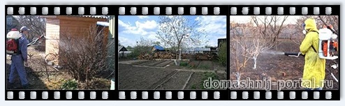 Богатый урожай, выращенный своими руками