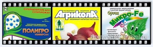 Органические удобрения для дачи и сада