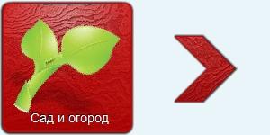 Сад и огород