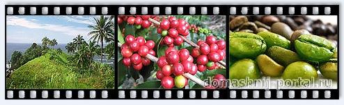 Гавайский кофе в капсулах Nespresso